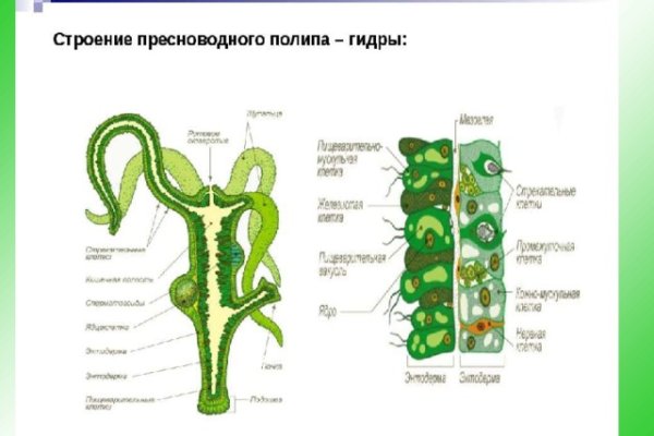 Блэкспрут что это blacksprut adress com