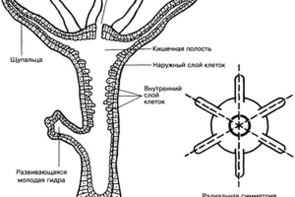 Тор браузер blacksprut bs2web top